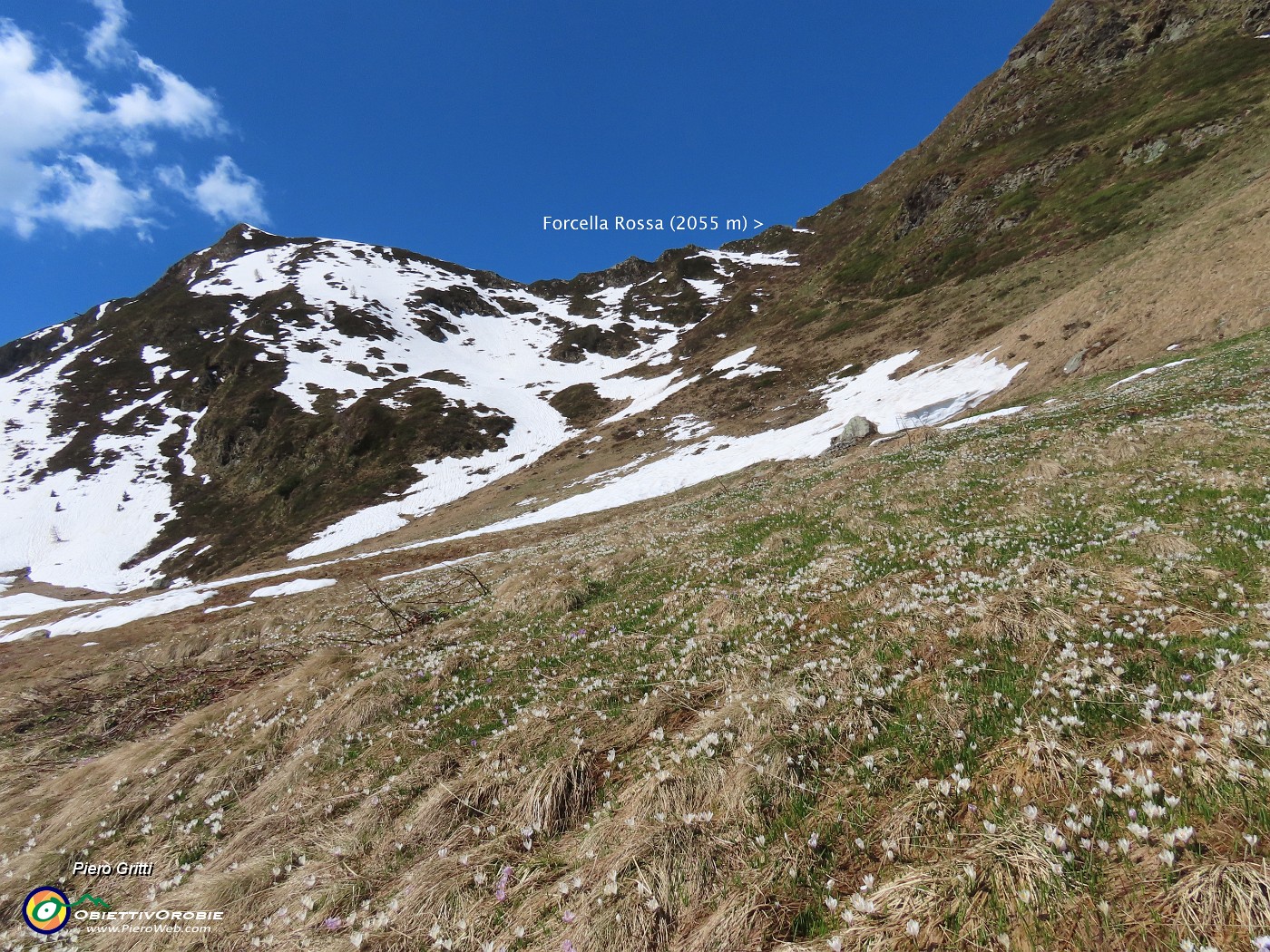 32 Si riesce a salire in Forcella Rossa ! ...saliamo !.JPG
